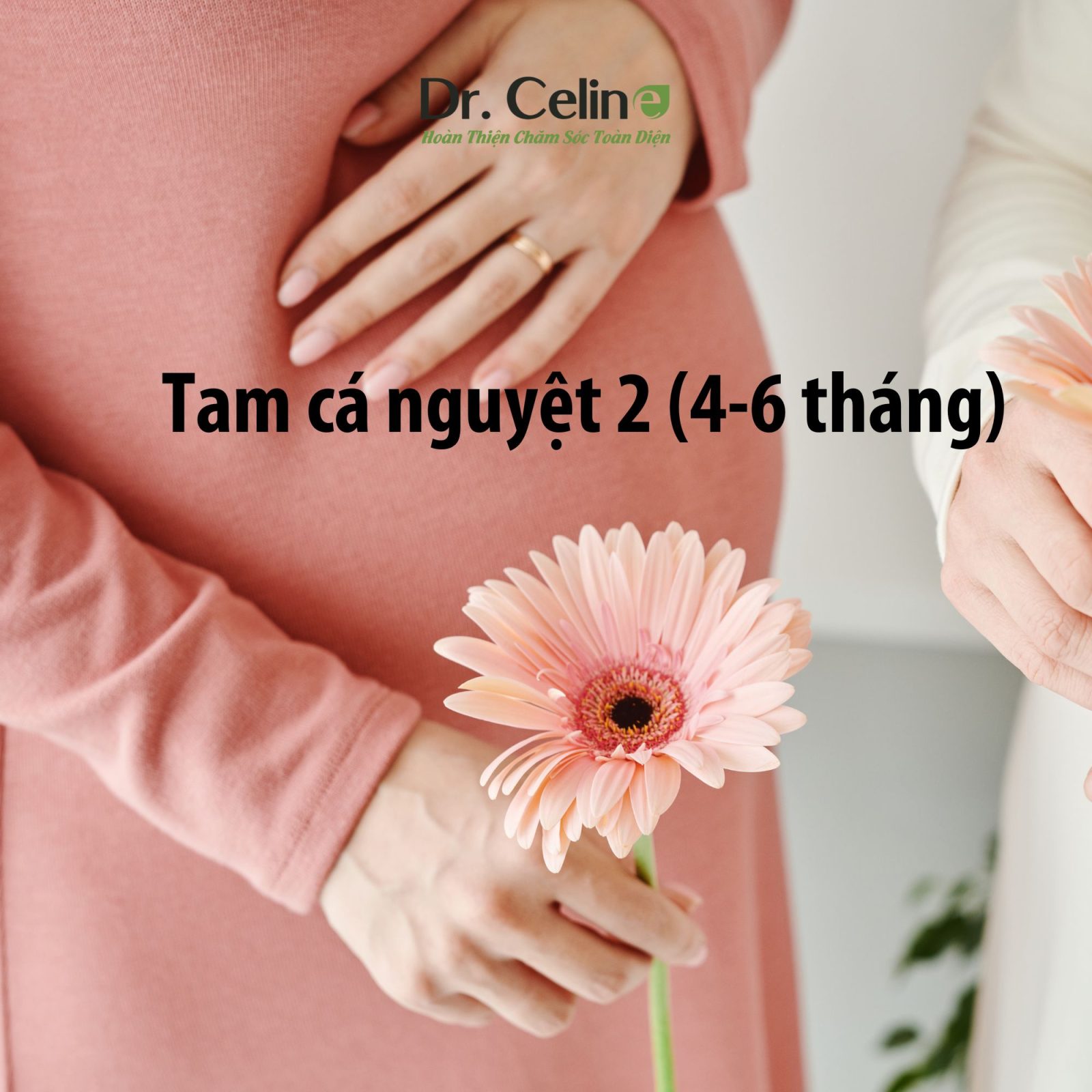 Mẹ bầu đang cầm hoa đồng tiền, tay khác thì đặt lên bụng