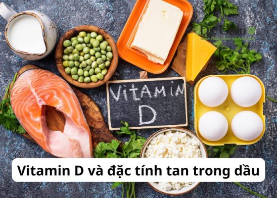 Vitamin D và đặc tính tan trong dầu